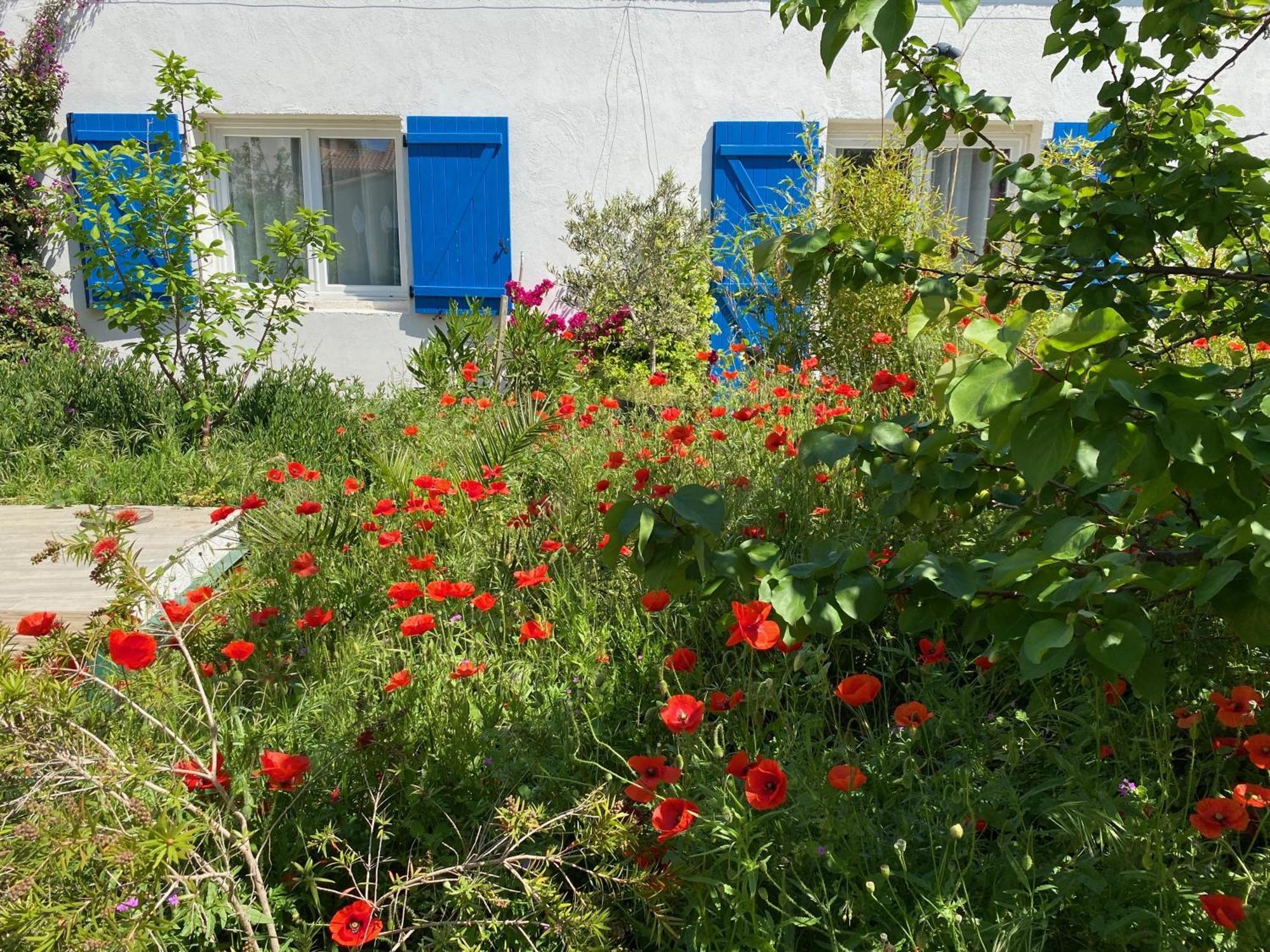 Maisonnette De Jardin Марсель Екстер'єр фото